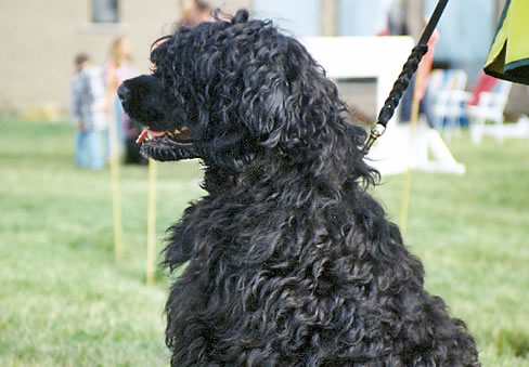 Bogey05