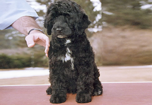 Bogey07
