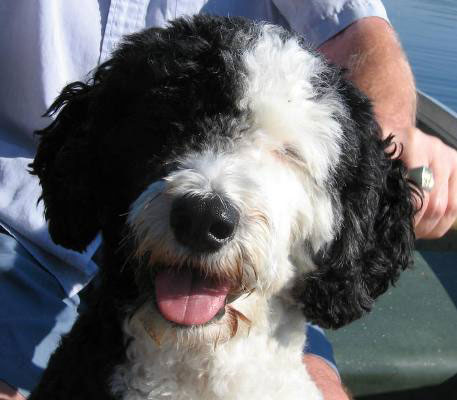 Petra